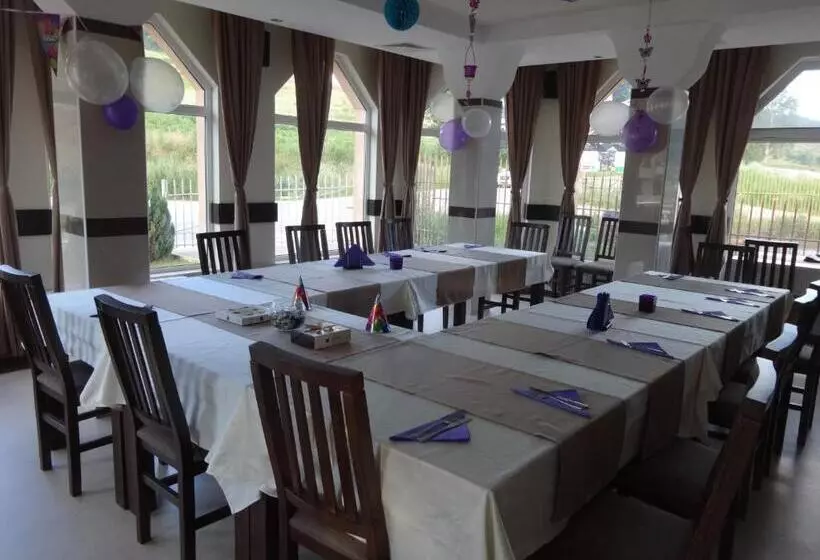 ホテル семеен хотел елеганс   борино