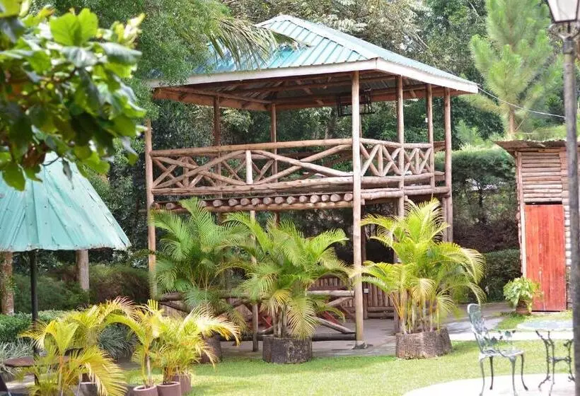 هتل St. Patrick’s Forest House