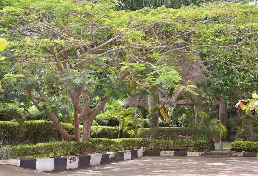 هتل St. Patrick’s Forest House