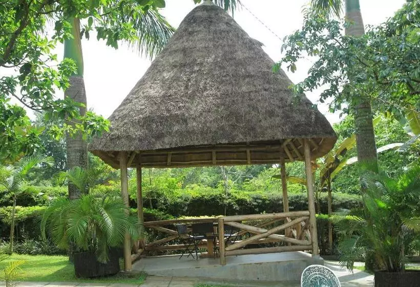 هتل St. Patrick’s Forest House