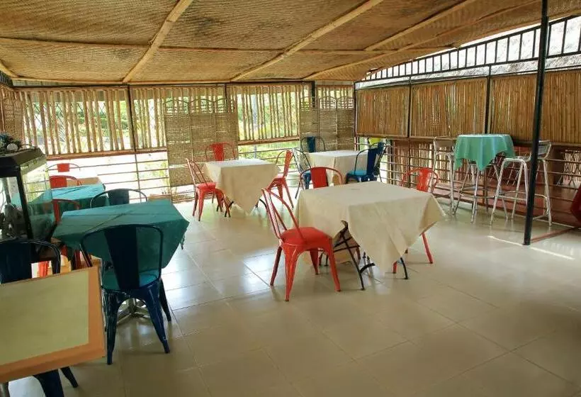 هتل St. Patrick’s Forest House