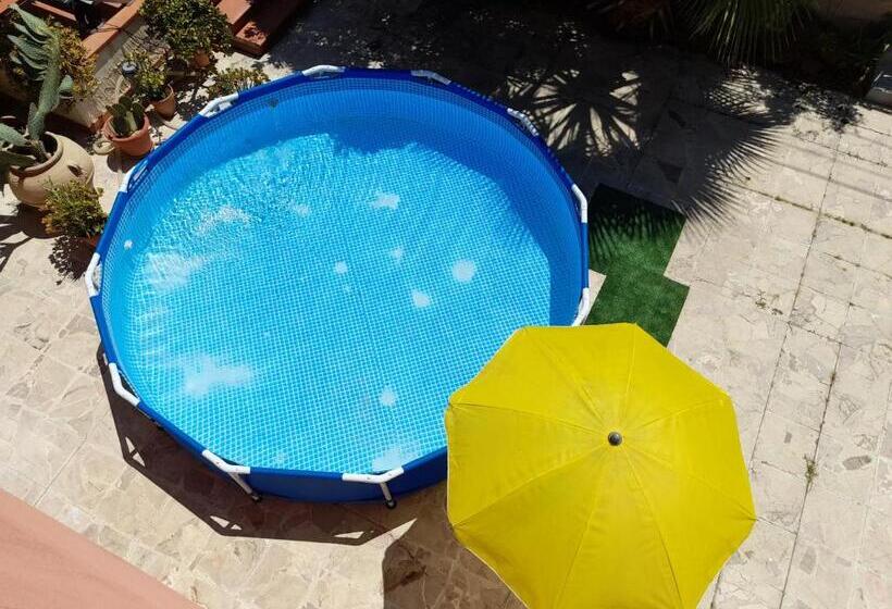 Margherita S Nest By The Sea With Birds Song