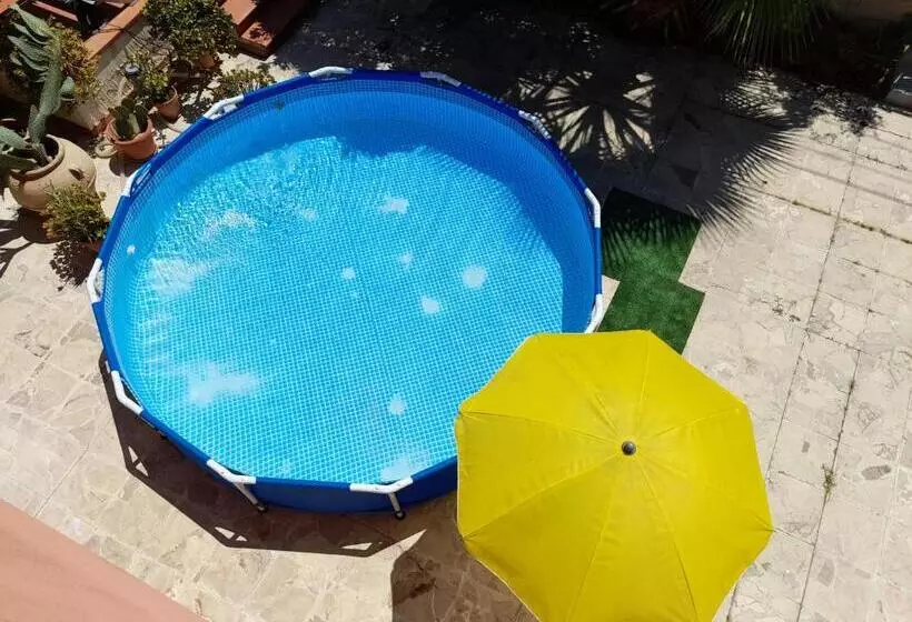 Margherita S Nest By The Sea With Birds Song