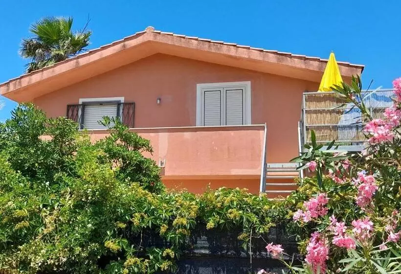 Margherita S Nest By The Sea With Birds Song