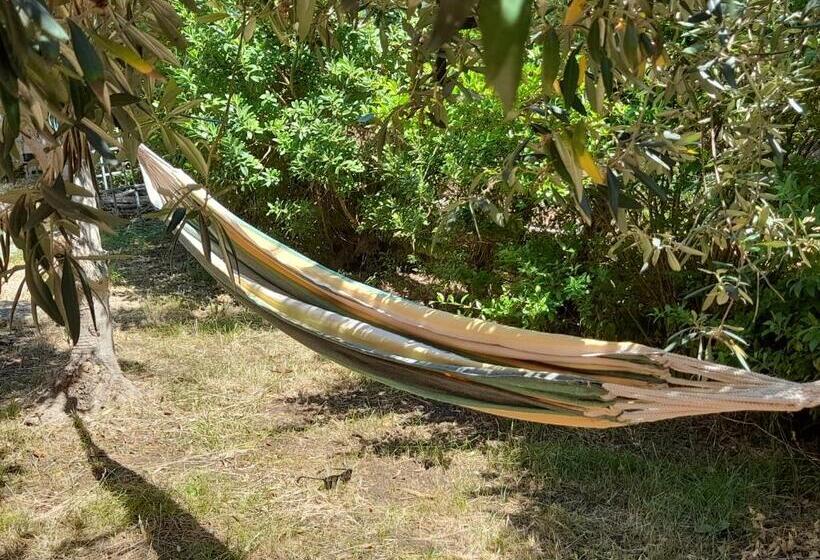 Margherita S Nest By The Sea With Birds Song