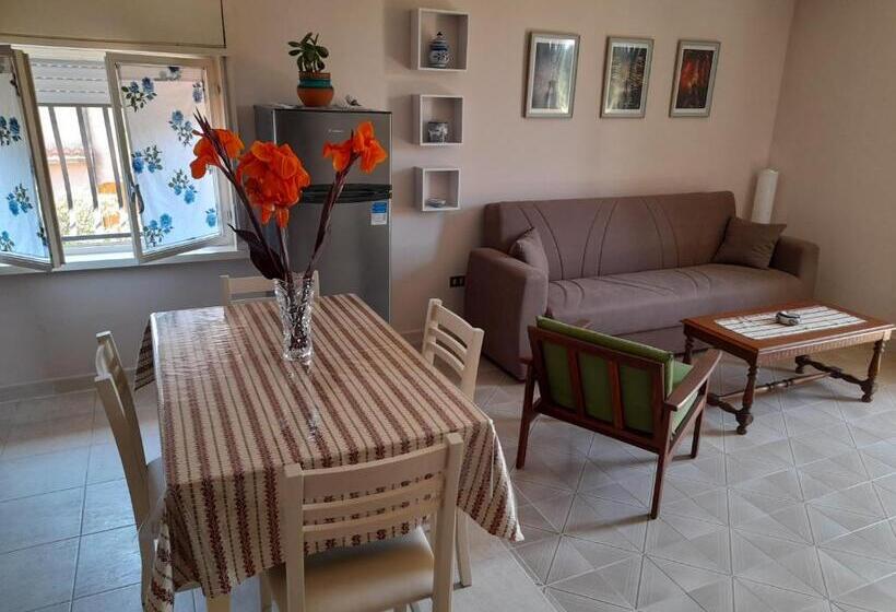 Margherita S Nest By The Sea With Birds Song