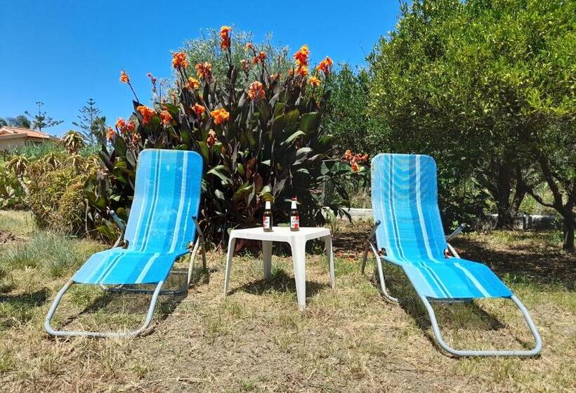 Margherita S Nest By The Sea With Birds Song