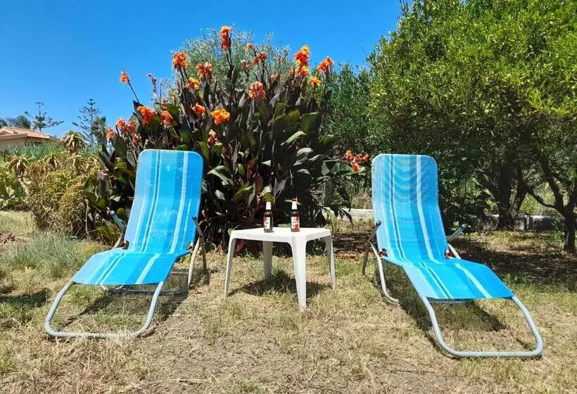 Margherita S Nest By The Sea With Birds Song