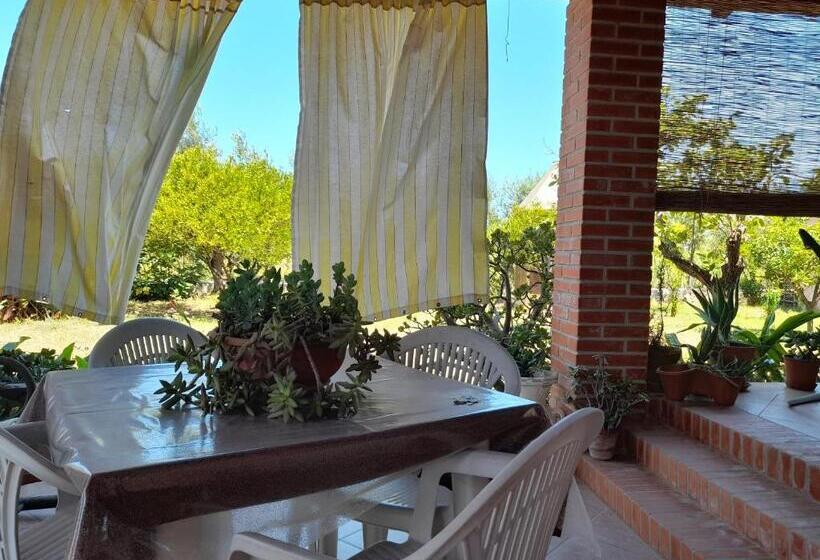 Margherita S Nest By The Sea With Birds Song