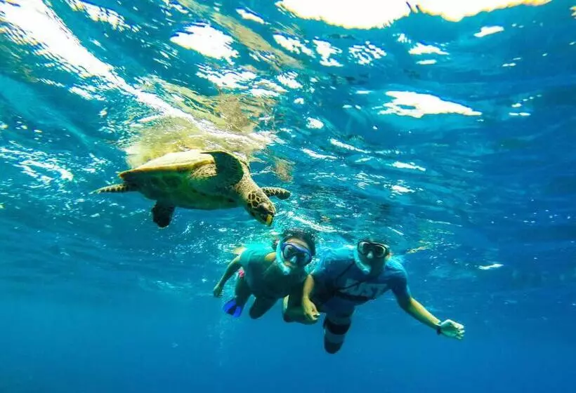 پانسیون Eden Blue