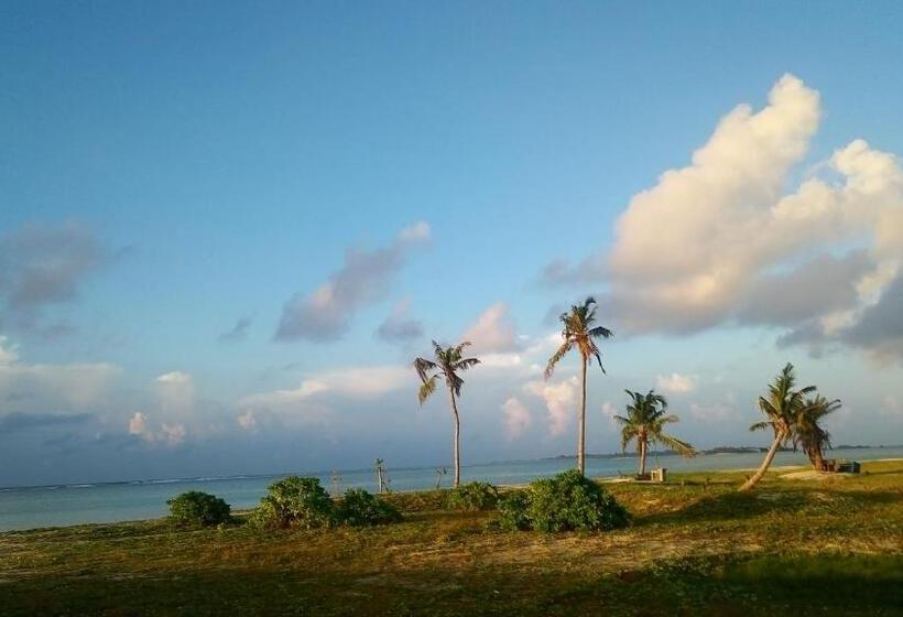 پانسیون Eden Blue