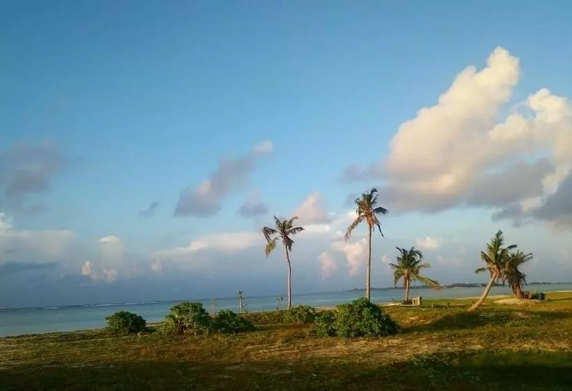 پانسیون Eden Blue