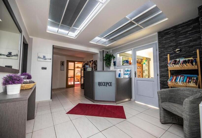 פנסיון Penzion Vysoká Stráž