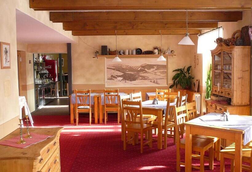 פנסיון Penzion Vysoká Stráž