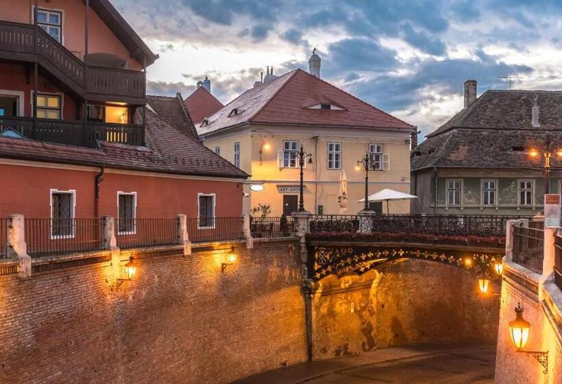 פנסיון Vila șaguna