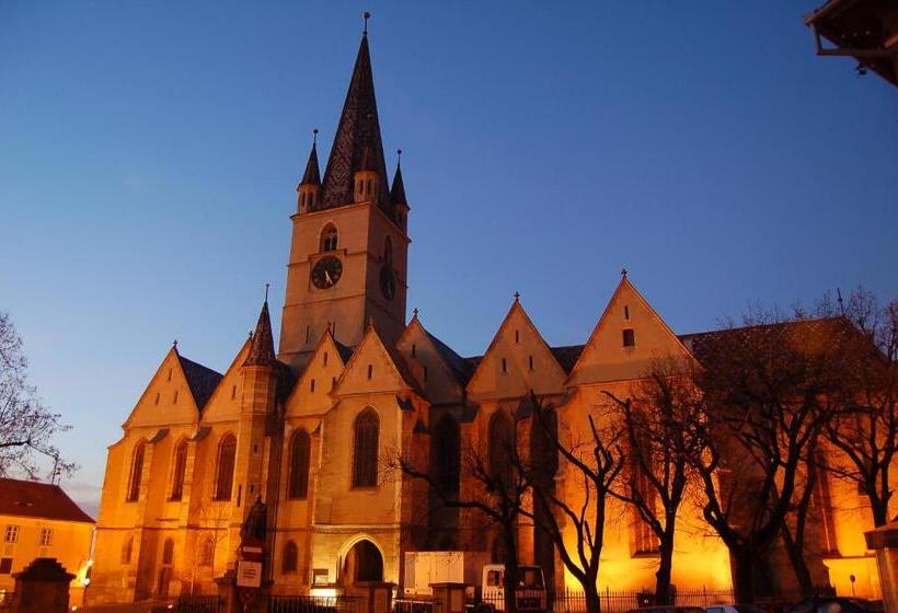 פנסיון Vila șaguna