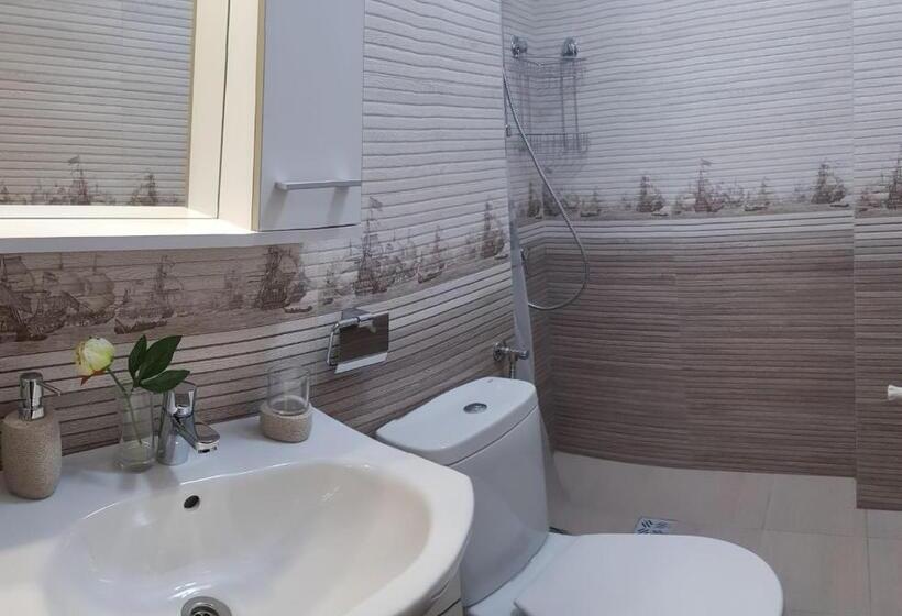 פנסיון Vila șaguna