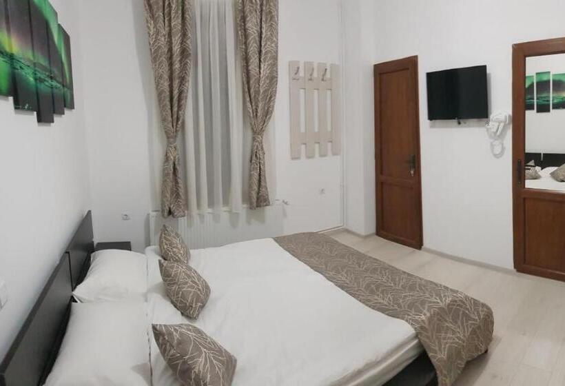 פנסיון Vila șaguna