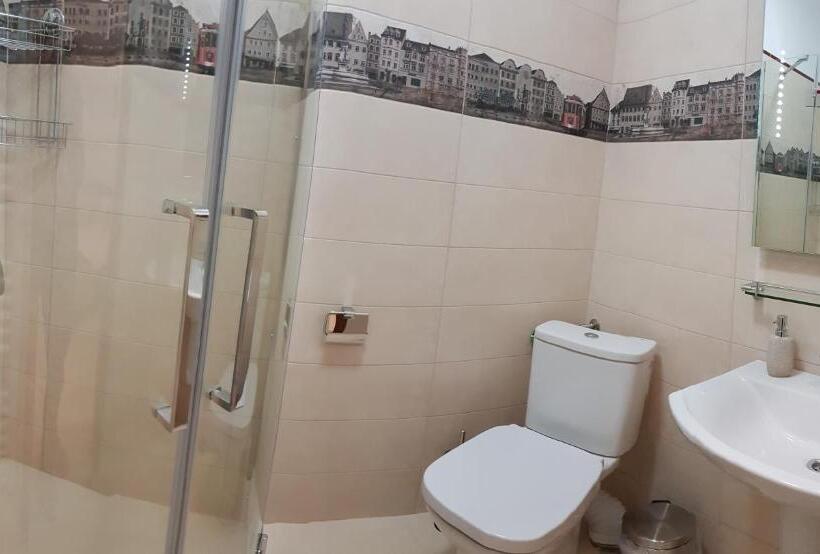 פנסיון Vila șaguna