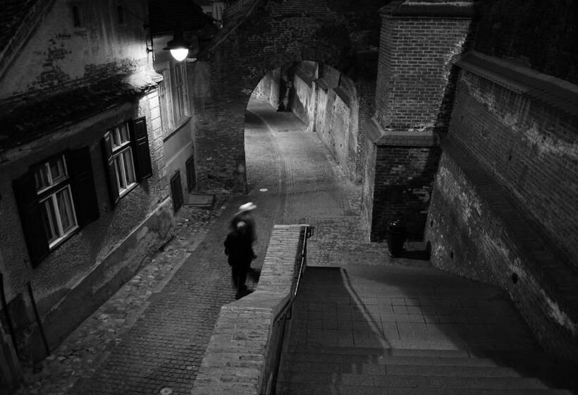 פנסיון Vila șaguna