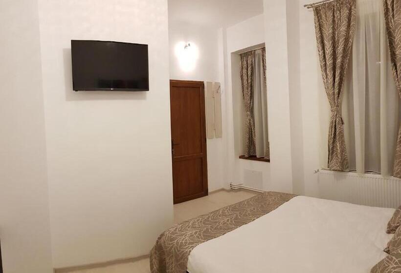 פנסיון Vila șaguna