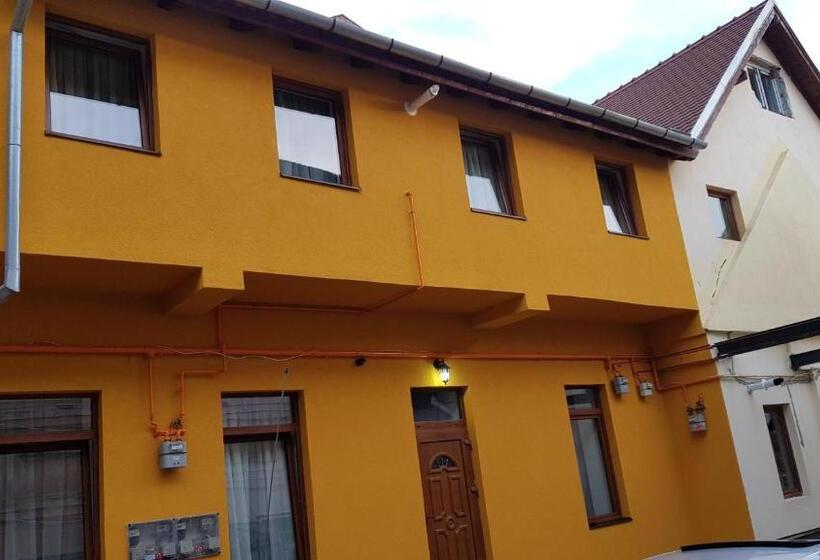 פנסיון Vila șaguna