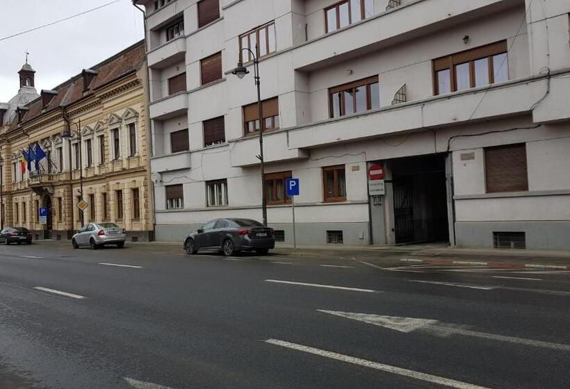 פנסיון Vila șaguna