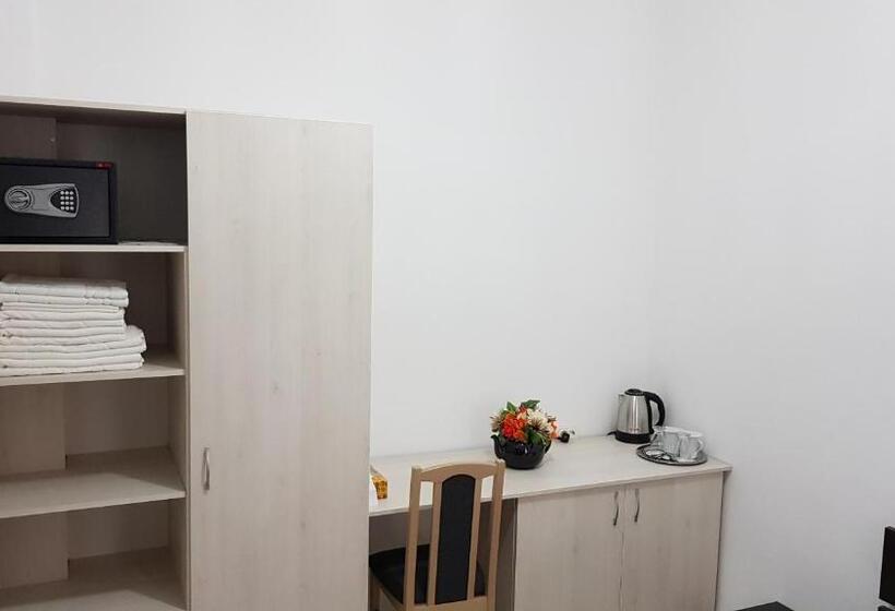 פנסיון Vila șaguna