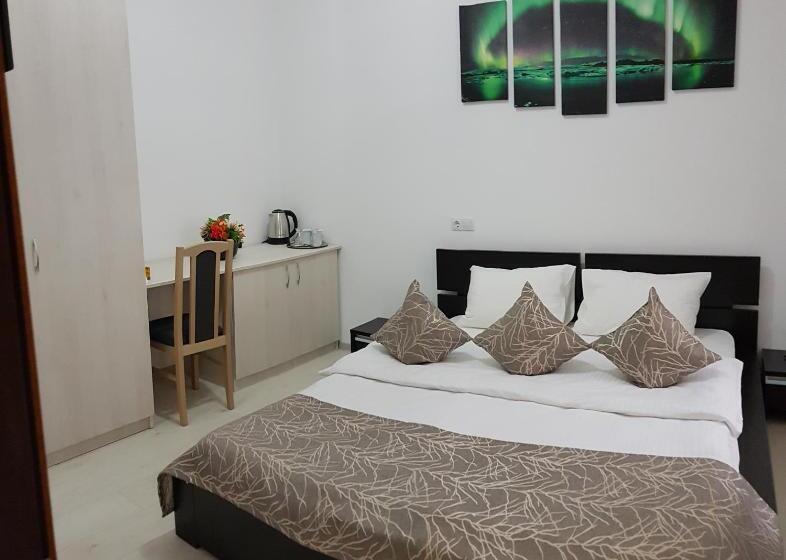 פנסיון Vila șaguna