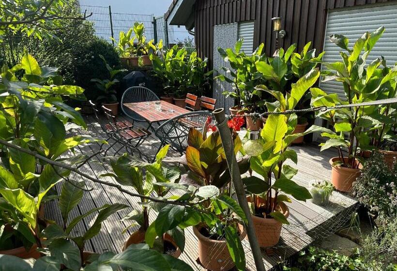 Wiehler  Ferienwohnung