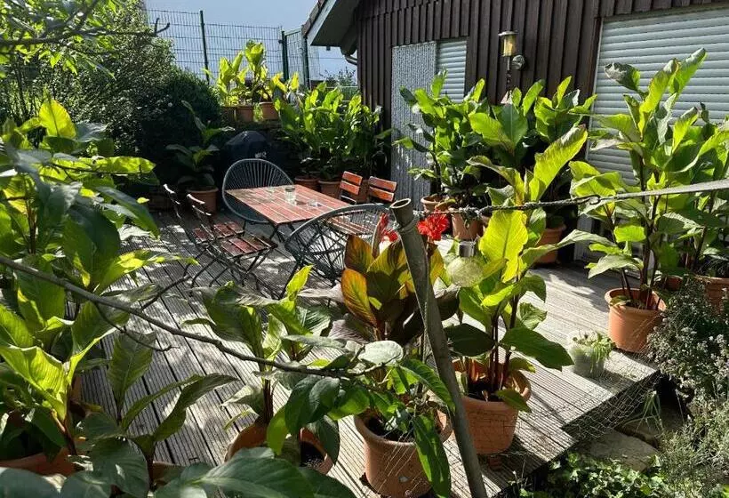 Wiehler  Ferienwohnung