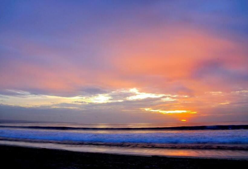 فندق Guest House Matahari