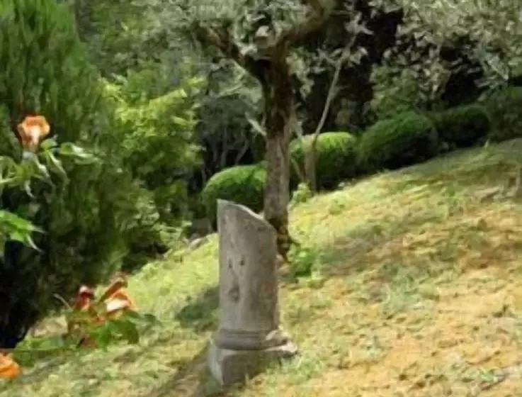 فندق ريفى Villa Cicchi