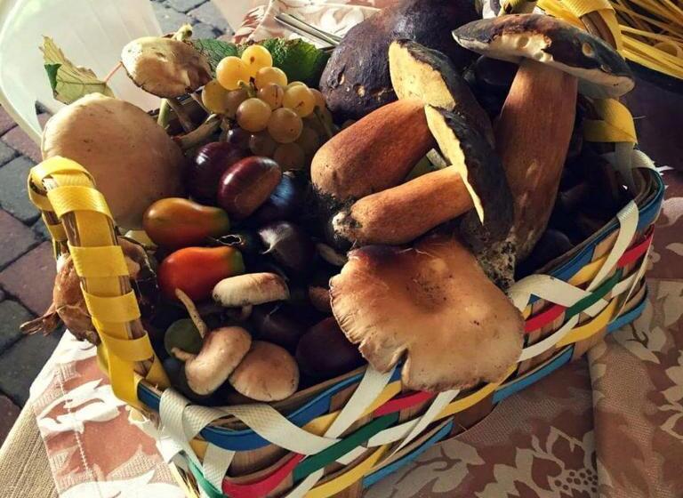 민박 Agriturismo A Do  Cumparone