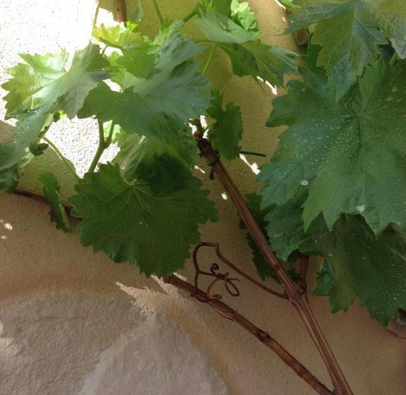 تختخواب و صبحانه Casa 28