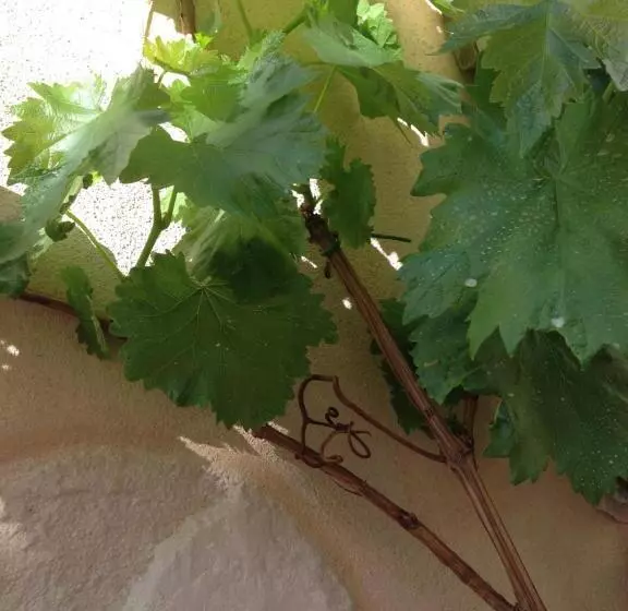 Aamiaismajoitus (B&B) Casa 28