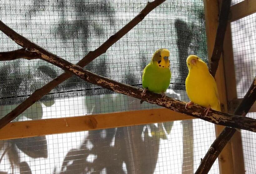 צימר L Agrifoglio Dell Etna