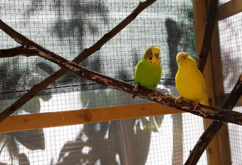 ベッドアンドブレックファースト L Agrifoglio Dell Etna