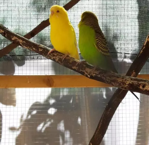 ベッドアンドブレックファースト L Agrifoglio Dell Etna