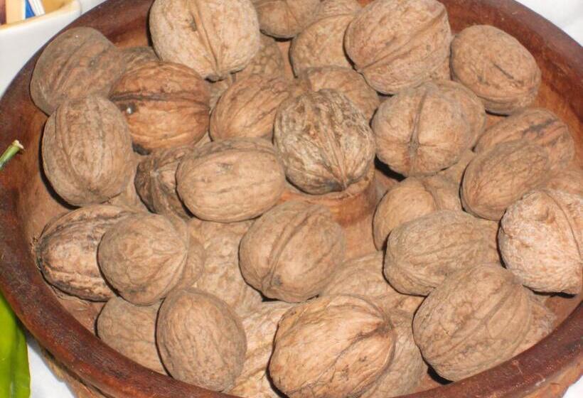 צימר L Agrifoglio Dell Etna