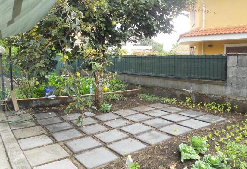 צימר L Agrifoglio Dell Etna