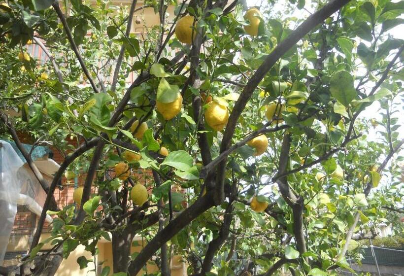 צימר L Agrifoglio Dell Etna