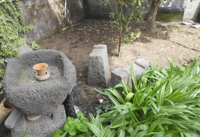 צימר L Agrifoglio Dell Etna