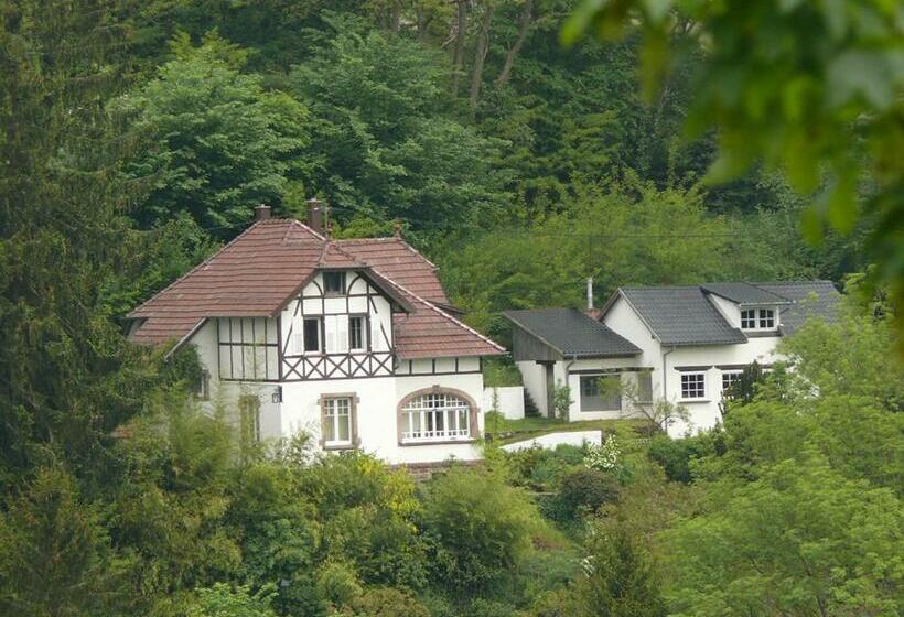 민박 La Dependance De La Villa Des Oiseaux   La Petite Pierre