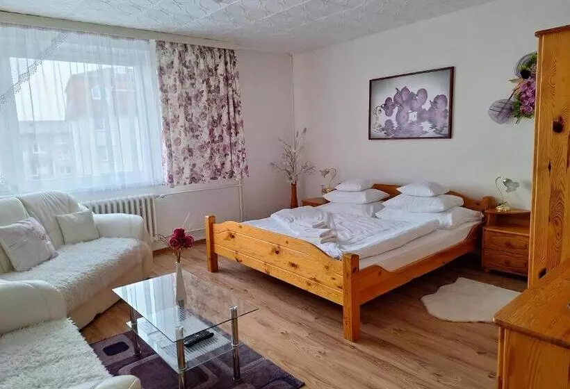 Aamiaismajoitus (B&B) Vila Gabriel