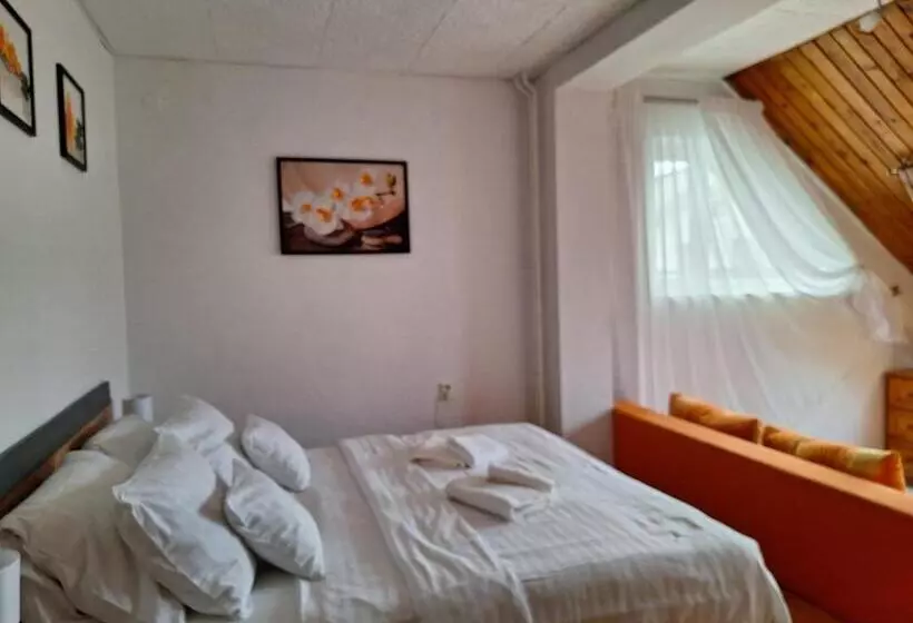 Aamiaismajoitus (B&B) Vila Gabriel