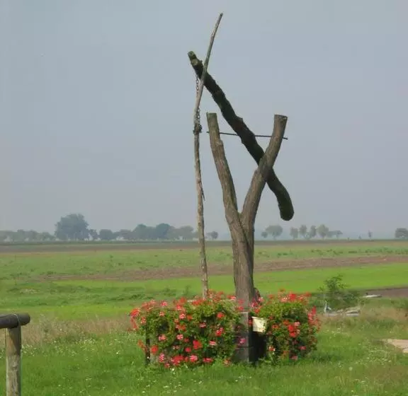 Die Pension Reeh