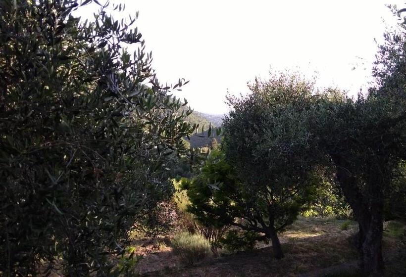 La Porta Del Sole Appartamento Nell Oliveto