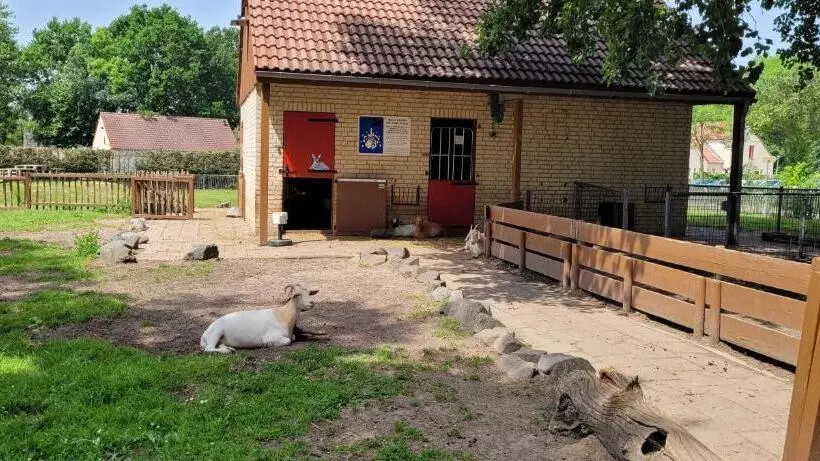 Ons Bosgevoel