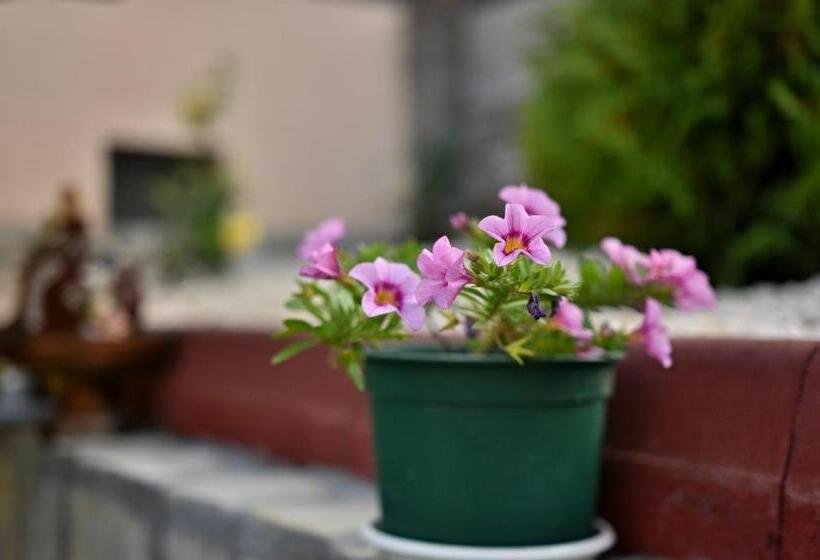 פנסיון Saint Maria Guest House